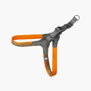 Dog Harness-Neoprene Comfort Liner-Orange